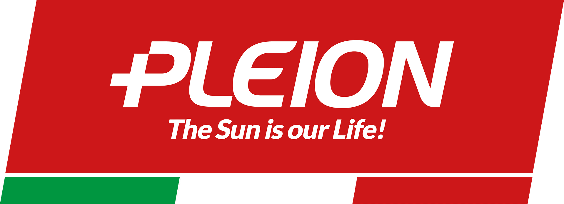 Pleion S.P.A logo